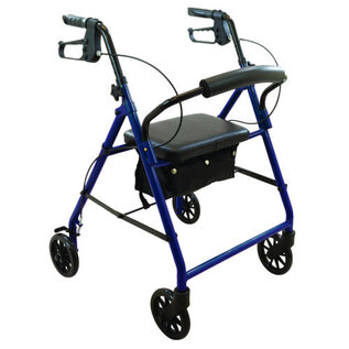 Probasics Steel Rollator w/ 6-inch Wheels