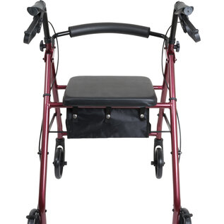 Probasics Steel Rollator w/ 6-inch Wheels