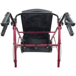 Probasics Steel Rollator w/ 6-inch Wheels