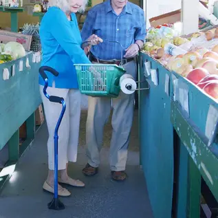 StrongArm Self Standing Cane