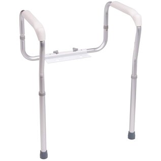 Probasics Probasics Toilet Safety Frame