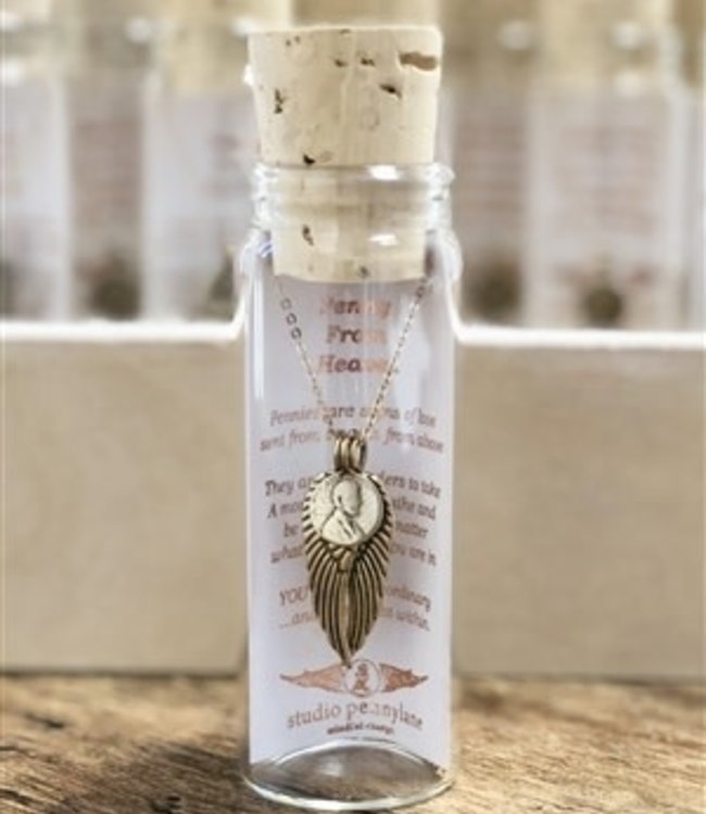 A penny deals from heaven necklace