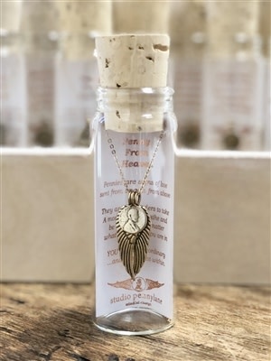 Penny from heaven necklace deals