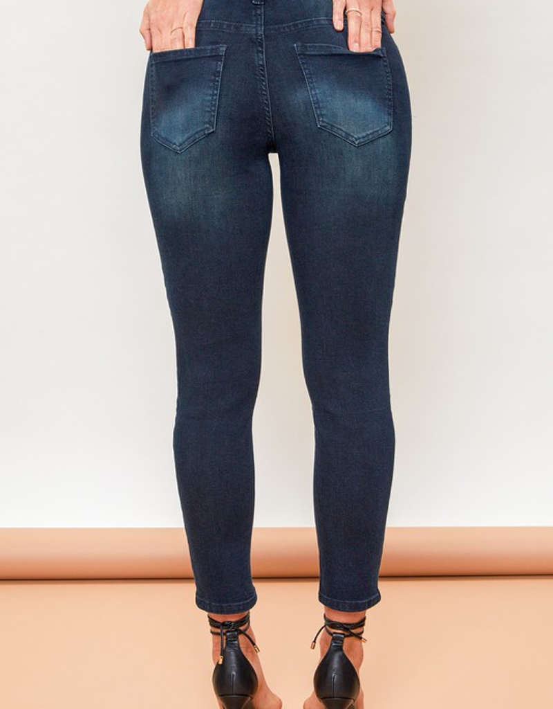 Petite Curvy Fit High-Rise Skinny Jean