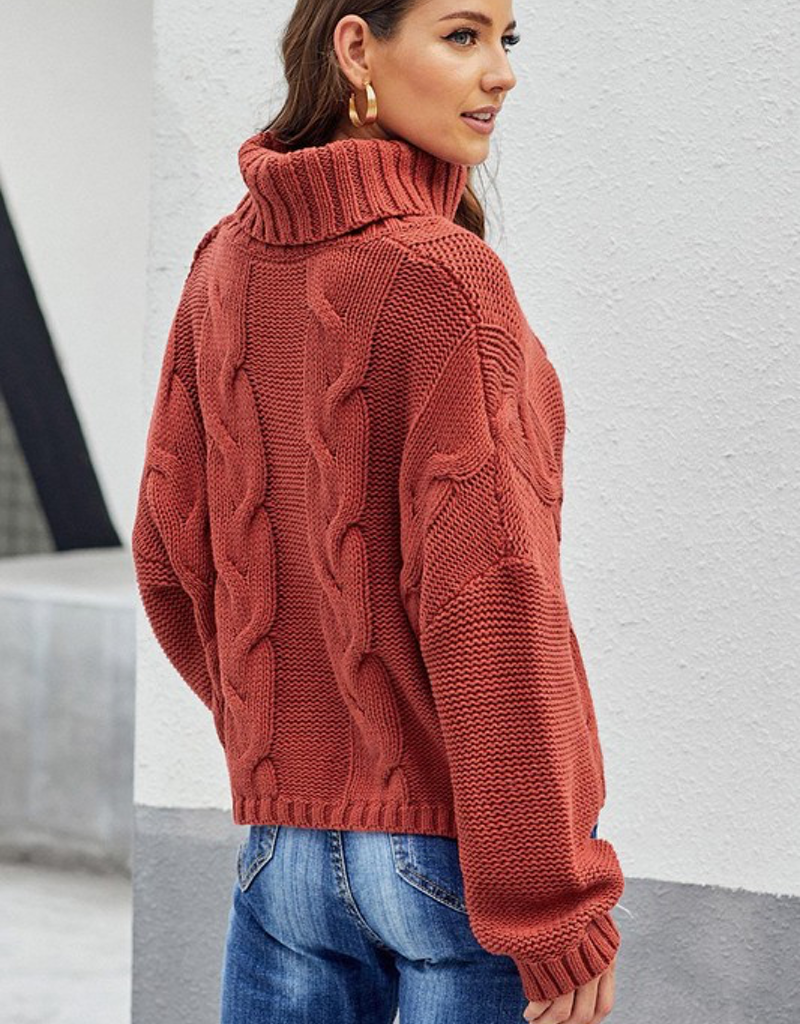 Weather Cable Knit Turtleneck Sweater