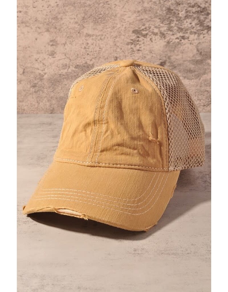 Distressed Mesh Hat