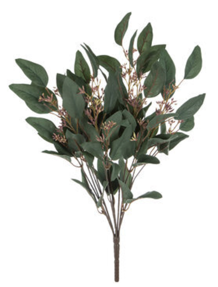 Eucalyptus Leaf Bush