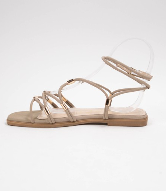 Macy Gladiator Sandal Taupe Boutique 23