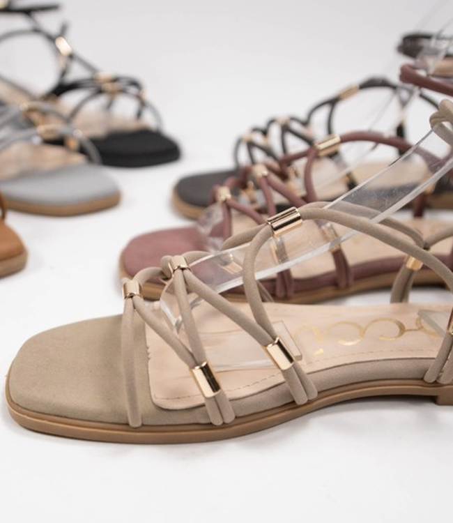 Macy Gladiator Sandal Taupe Boutique 23