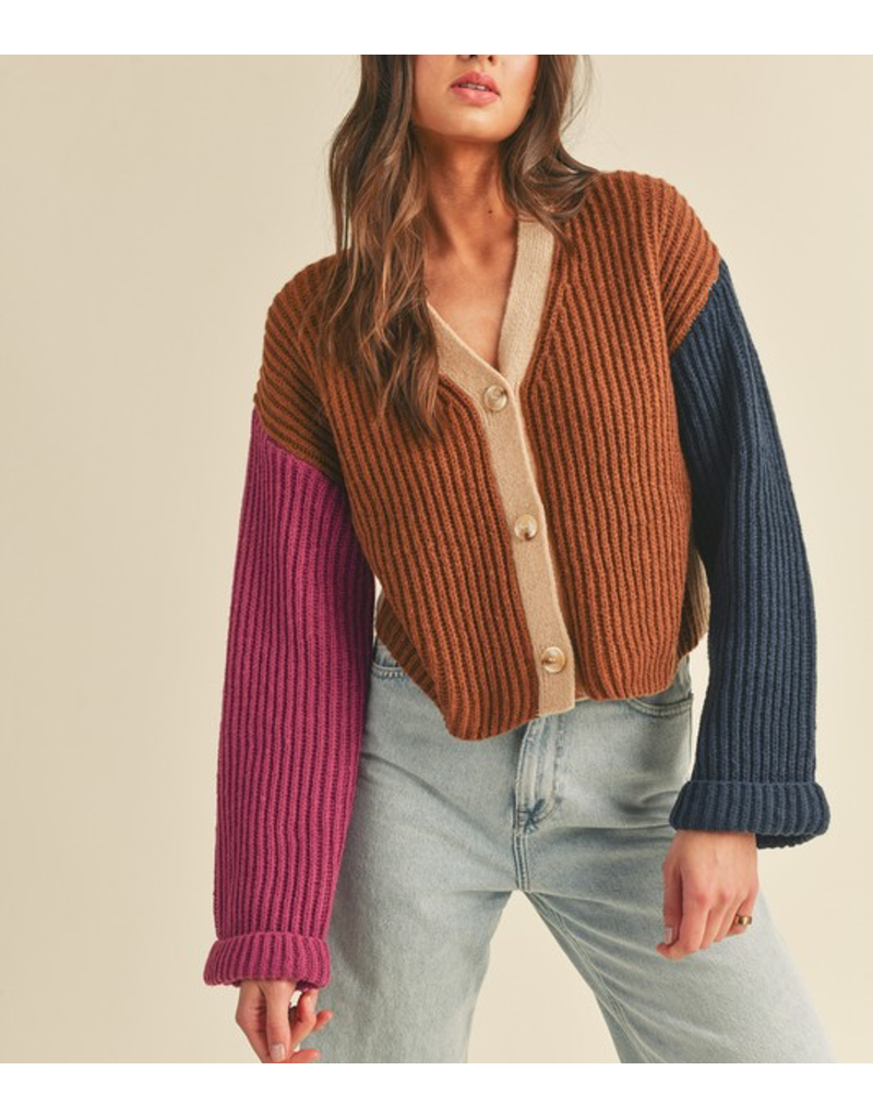 Color Block Knit Sweater Cardigan - Taupe Multi