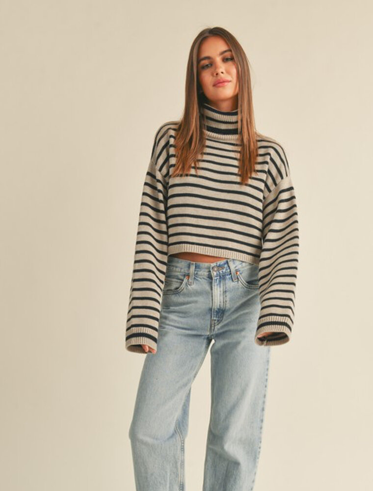 Striped Turtleneck Crop Sweater - Mocha/Black