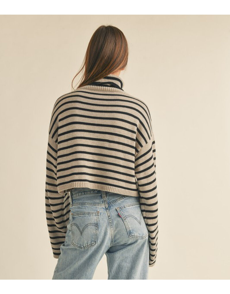 Striped Turtleneck Crop Sweater - Mocha/Black