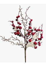 Winter Snow Red Berry Pick