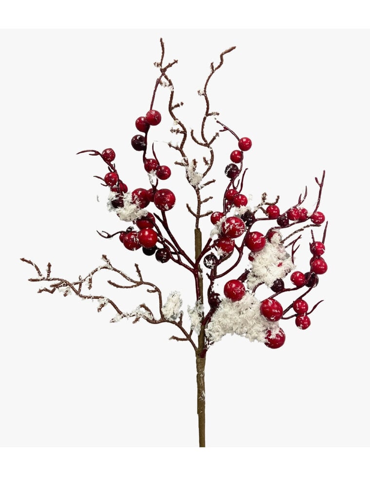 Winter Snow Red Berry Pick