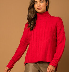Textured Knit Turtle Neck Sweater - Red