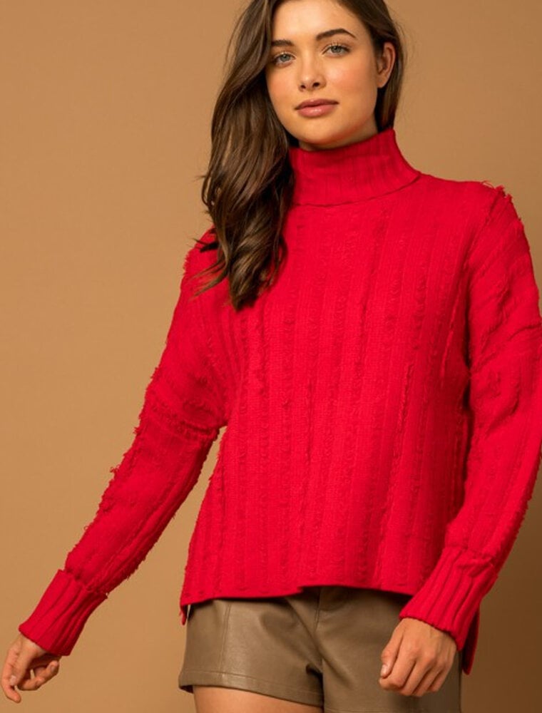 Textured Knit Turtle Neck Sweater - Red