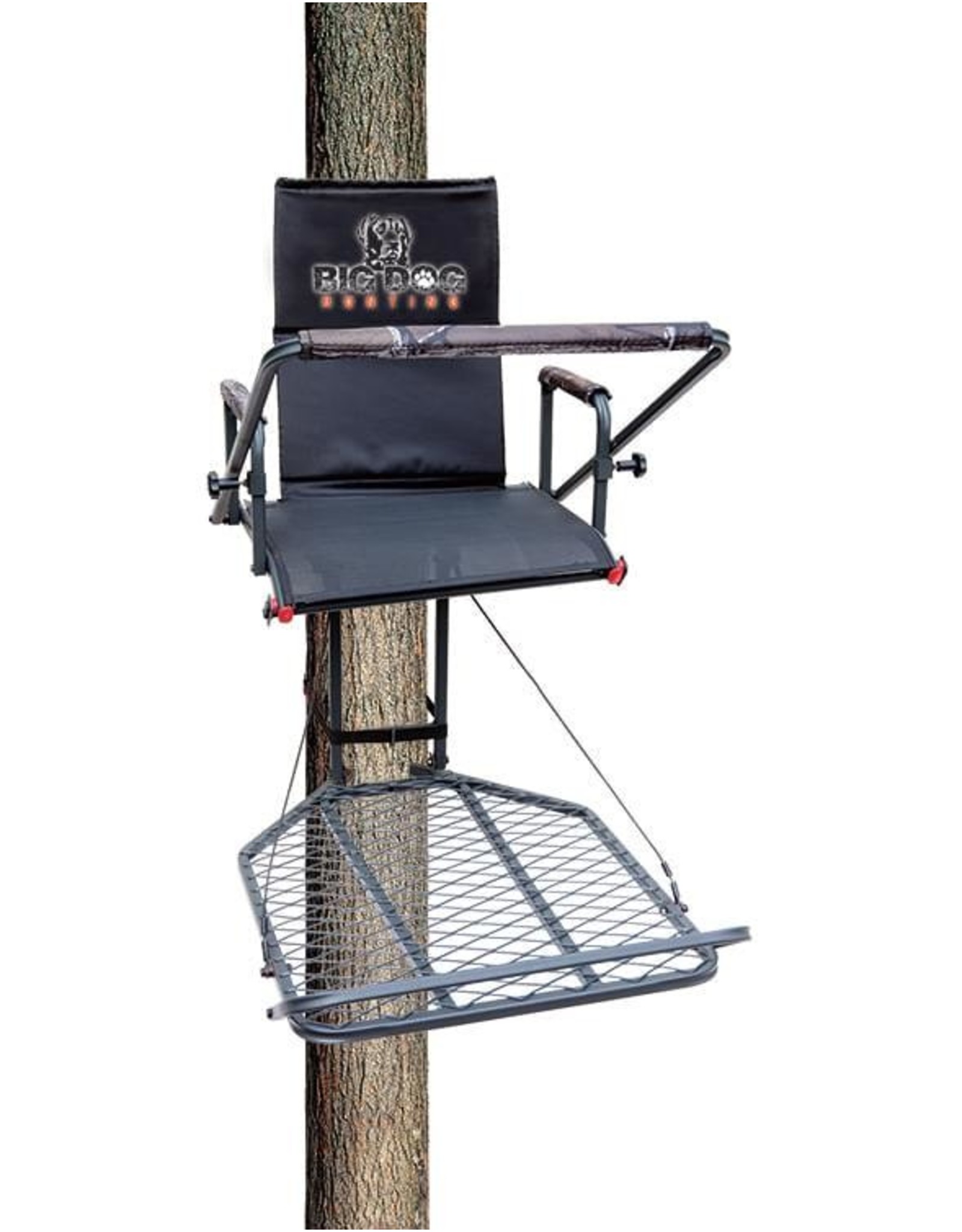 big dog hang on tree stand