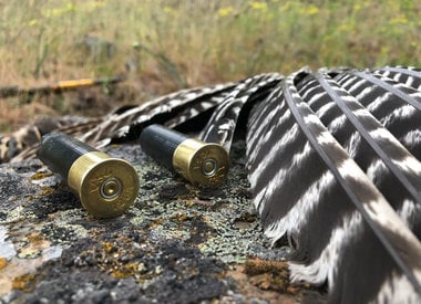 Turkey Ammo