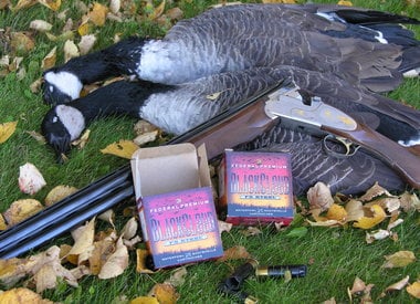 Waterfowl Ammo