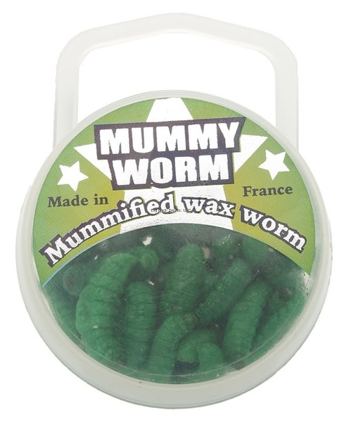 Eurotackle 00110 Mummy Worm, Preserved wax worms, Green Caterpillar,  35+/pack - Bronson
