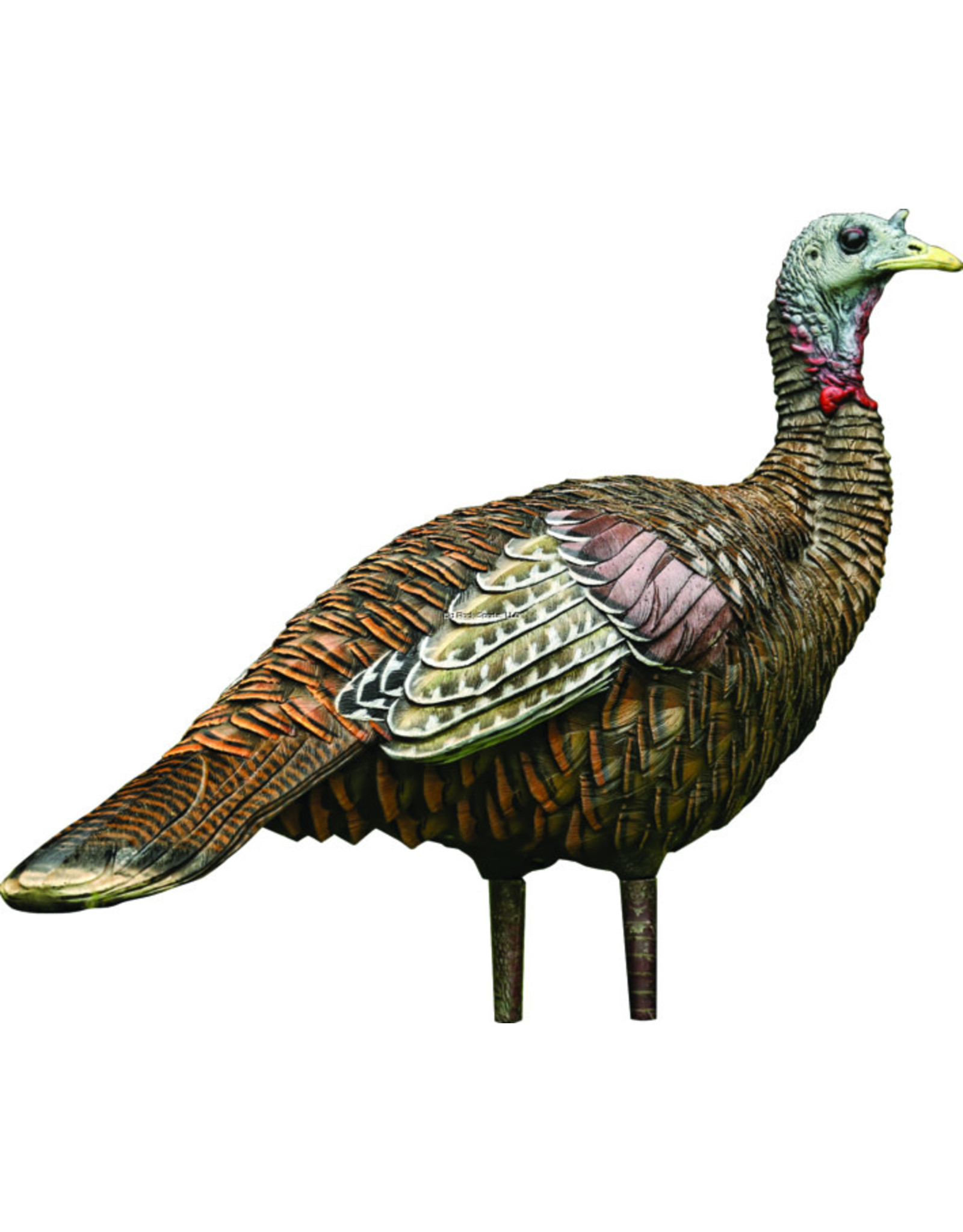 Avian-X Avian-X 8006 LCD Lookout Hen Turkey Decoy, Full Body, Inflatable AVX8006