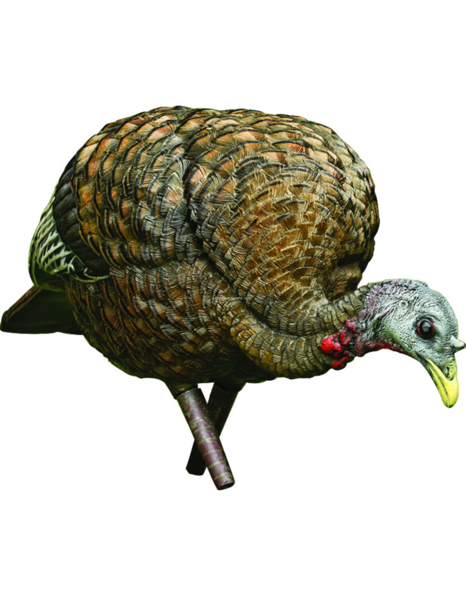 Avian-X Avian-X  8007 LCD Feeder Hen Turkey Decoy, Full Body, Inflatable AVX8007