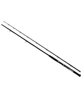 Daiwa Daiwa AccuDepth Trolling Rod – 9’6″ Length, 2 Piece Rod, 12-30 lb Line Rate, Heavy Power, Regular Action