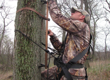 Treestand Accessories