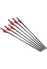 Umarex UMAREX AirJavelin Archery Arrows with Field Tip (Package: 6 Pack)