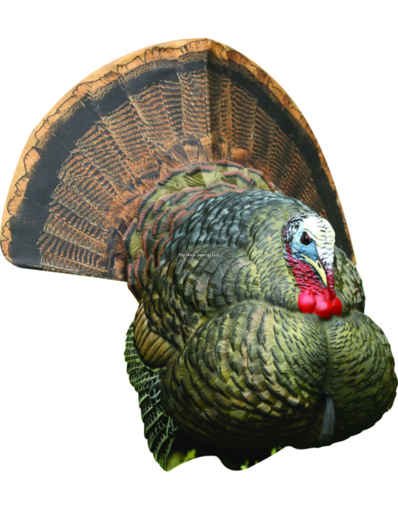 Avian-X Avian-X AVX8004 LCD Strutter Turkey Decoy, Full Body, Collapsable