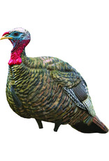 Avian-X Avian-X  8003 LCD Jake Quarter Strut Turkey Decoy, Full Body, Inflatable AVX8003