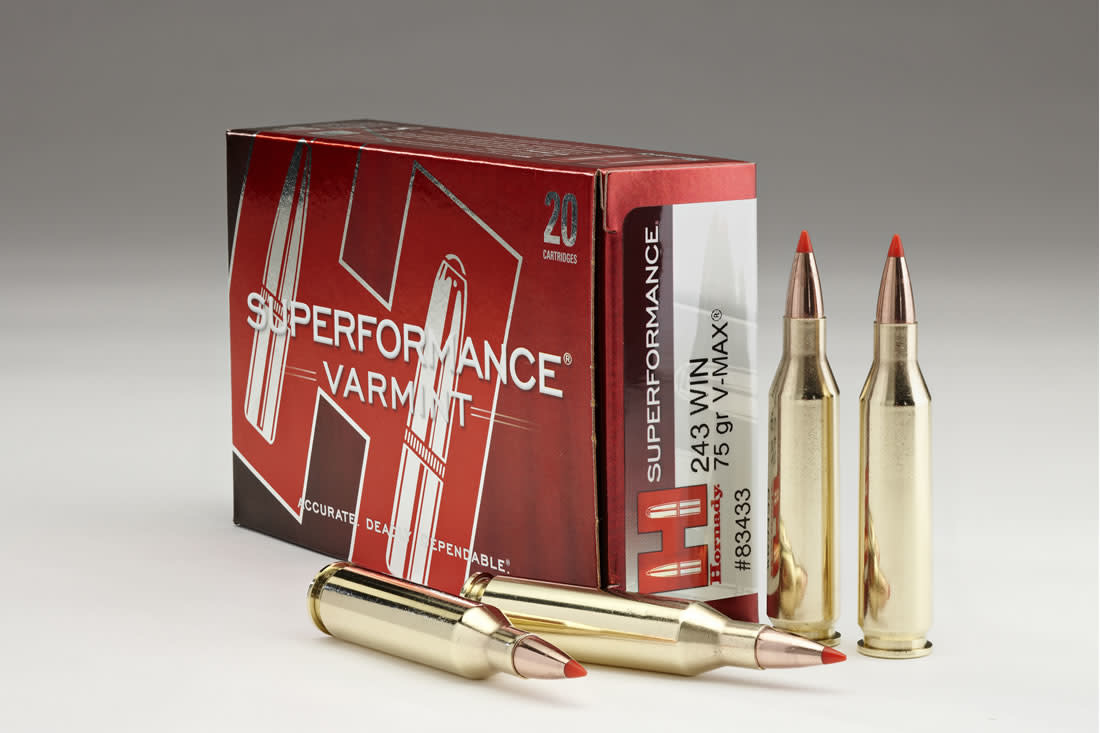 Hornady 83433 Superformance Varmint Rifle Ammo 243 WIN, VMAX, 75