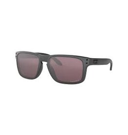 Oakley Holbrook™ Steel Collection w/ Prizm Daily Polarized