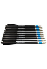 Steambow AR-Series Carbon Target Arrows - Set of 10 - Heavy