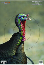Birchwood Casey Birchwood Casey BC-35403 PreGame Turkey 12x18 Target 8/Pk