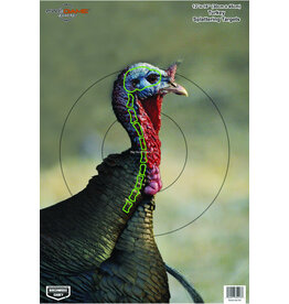 Birchwood Casey Birchwood Casey BC-35403 PreGame Turkey 12x18 Target 8/Pk