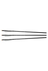 Excalibur Excalibur FireBolt 3-Pack 20'' Illuminated Arrows