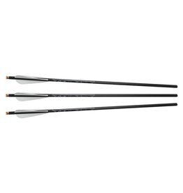 Excalibur Excalibur FireBolt 3-Pack 20'' Illuminated Arrows