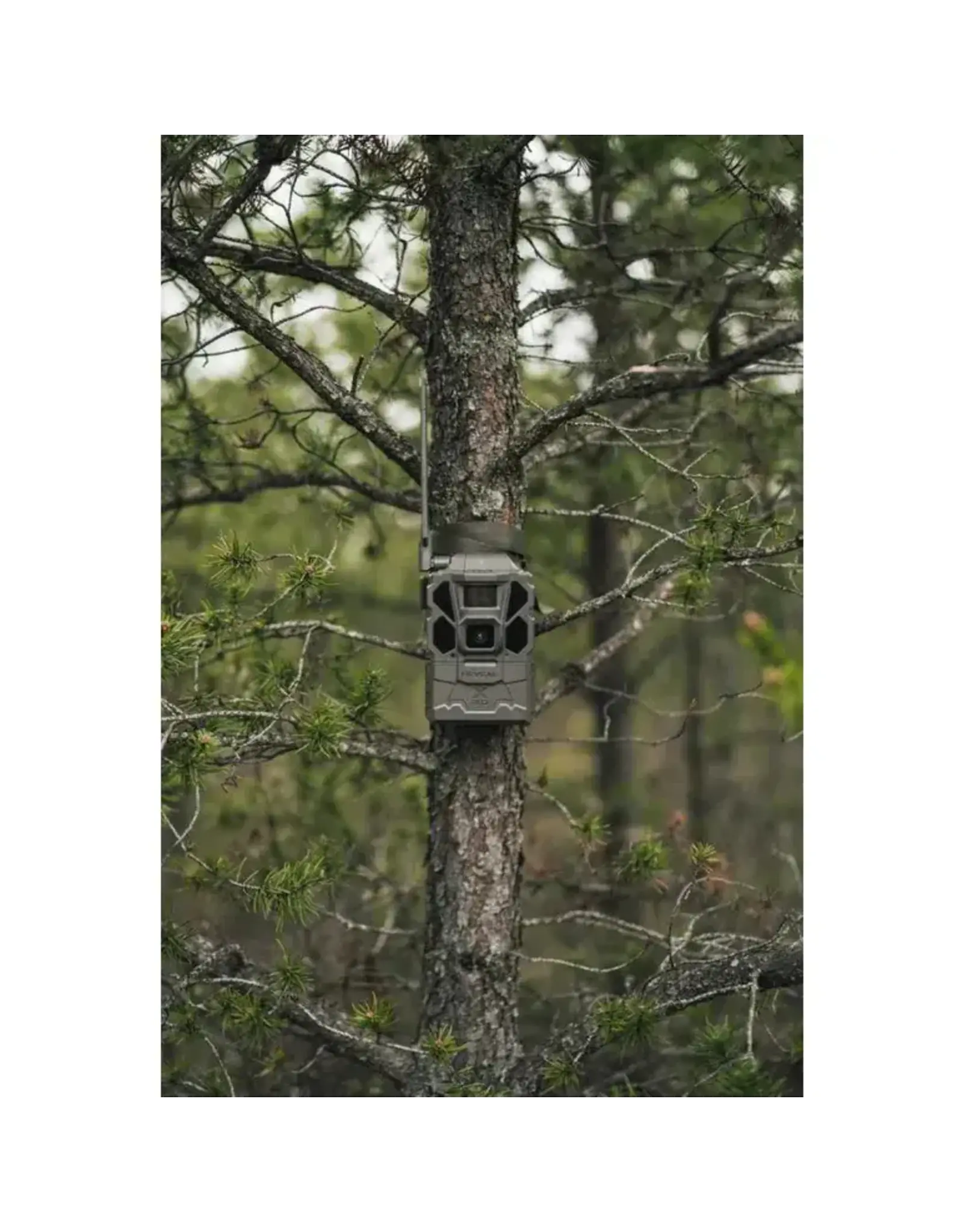 Tactacam Tactacam X Gen 3.0 Cellular Trail Camera RV-TC-XGEN3-CAN