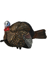 Avian-X Avian-X  8012 LCD 1/2 Strut Jake Turkey Decoy AVX8012