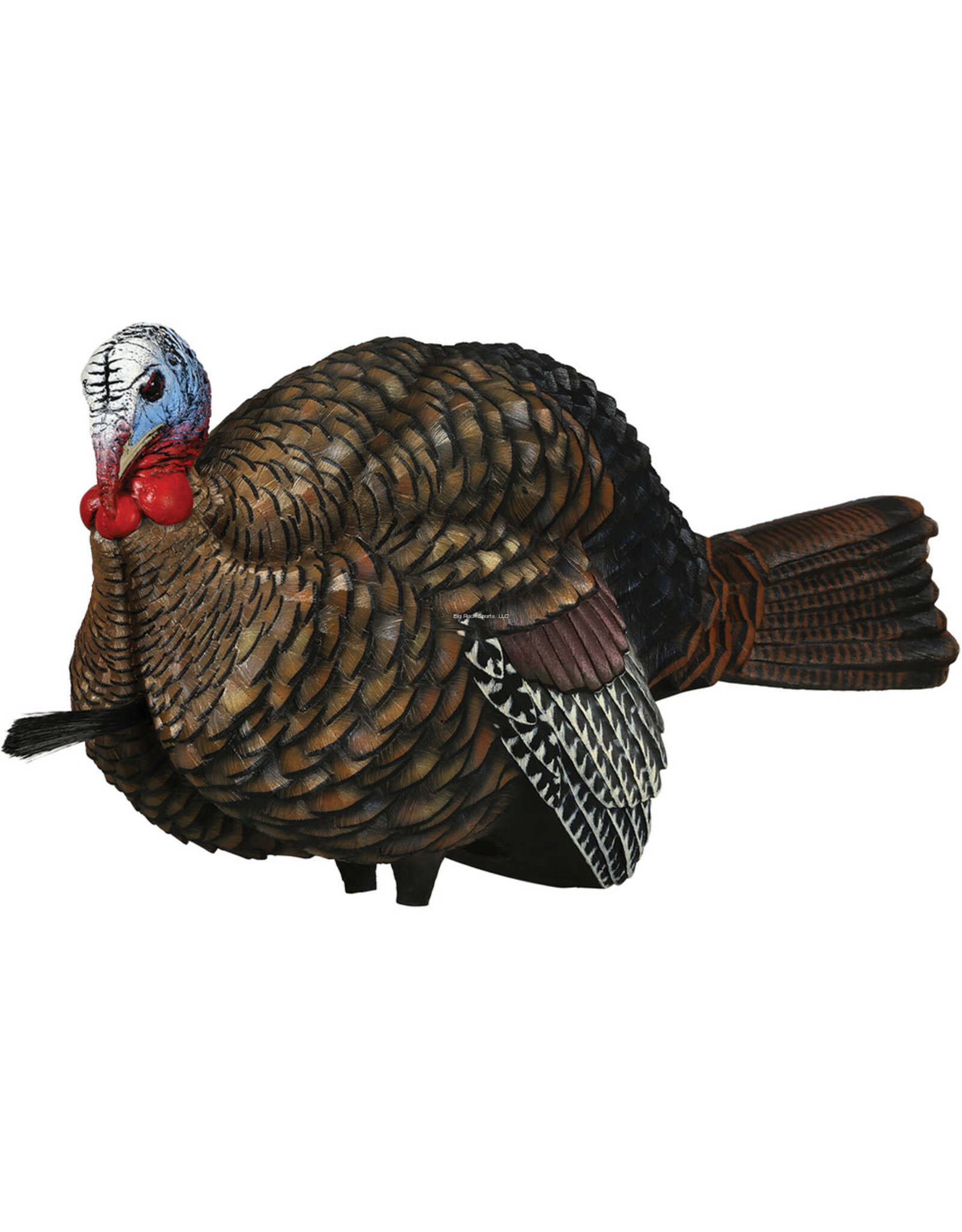 Avian-X Avian-X  8012 LCD 1/2 Strut Jake Turkey Decoy AVX8012