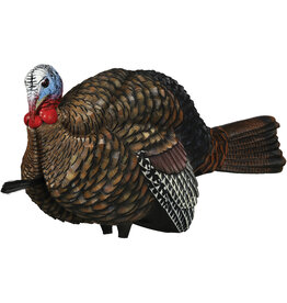 Avian-X Avian-X  8012 LCD 1/2 Strut Jake Turkey Decoy AVX8012