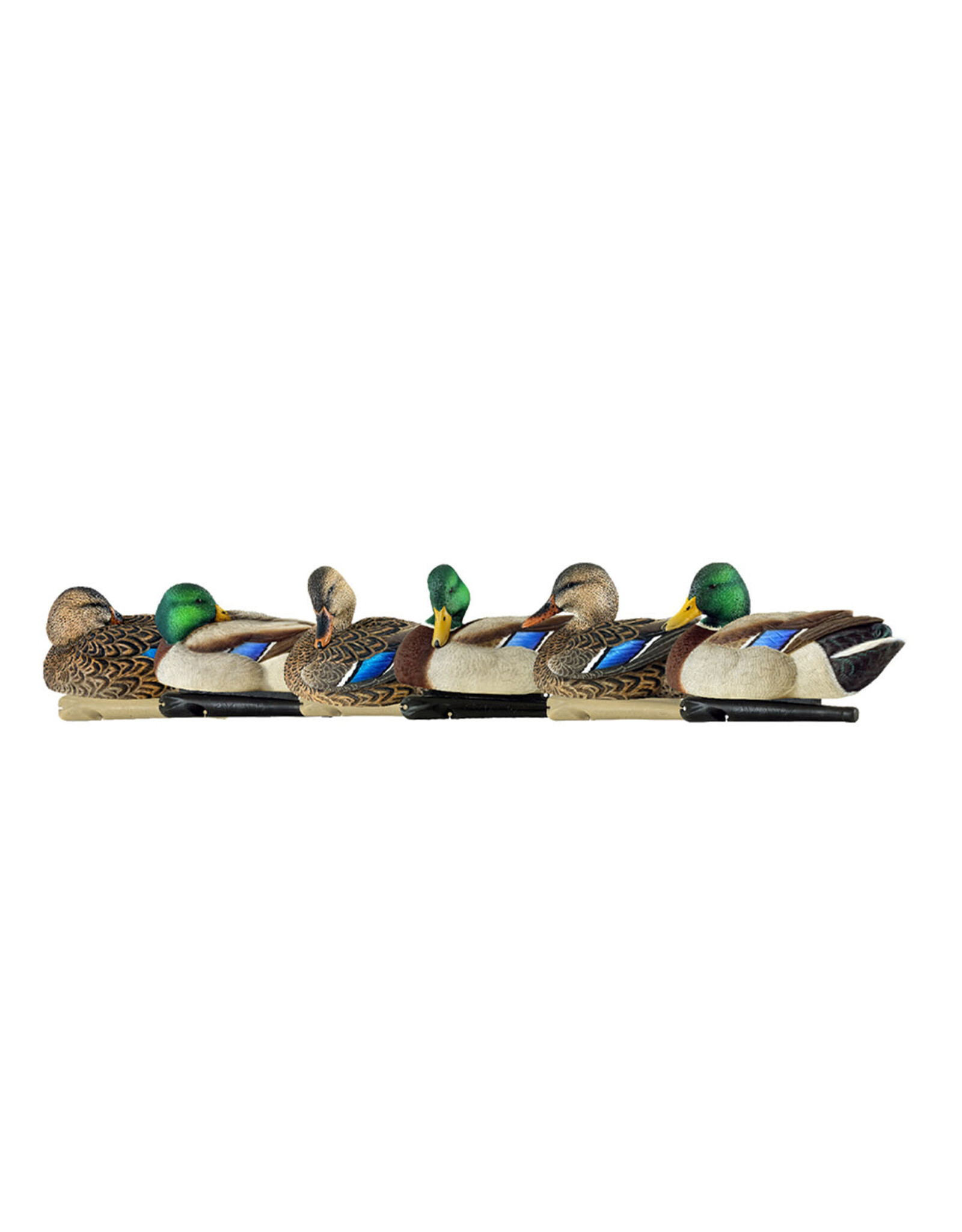 Avian-X Avian-X Topflight Rester/Preener Mallards AVX-AVX8072