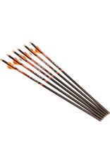 Ravin Crossbows Ravin Carbon Crossbow Arrows 400 Grain .003 - Six Pack