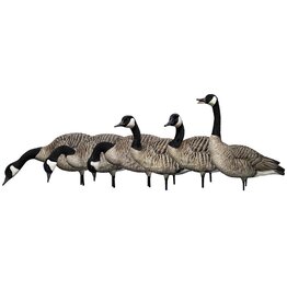 Avian-X Avian-X AXP Honker Fusion Pack - 6 Fullbody Painted Goose Honkers AVX9006