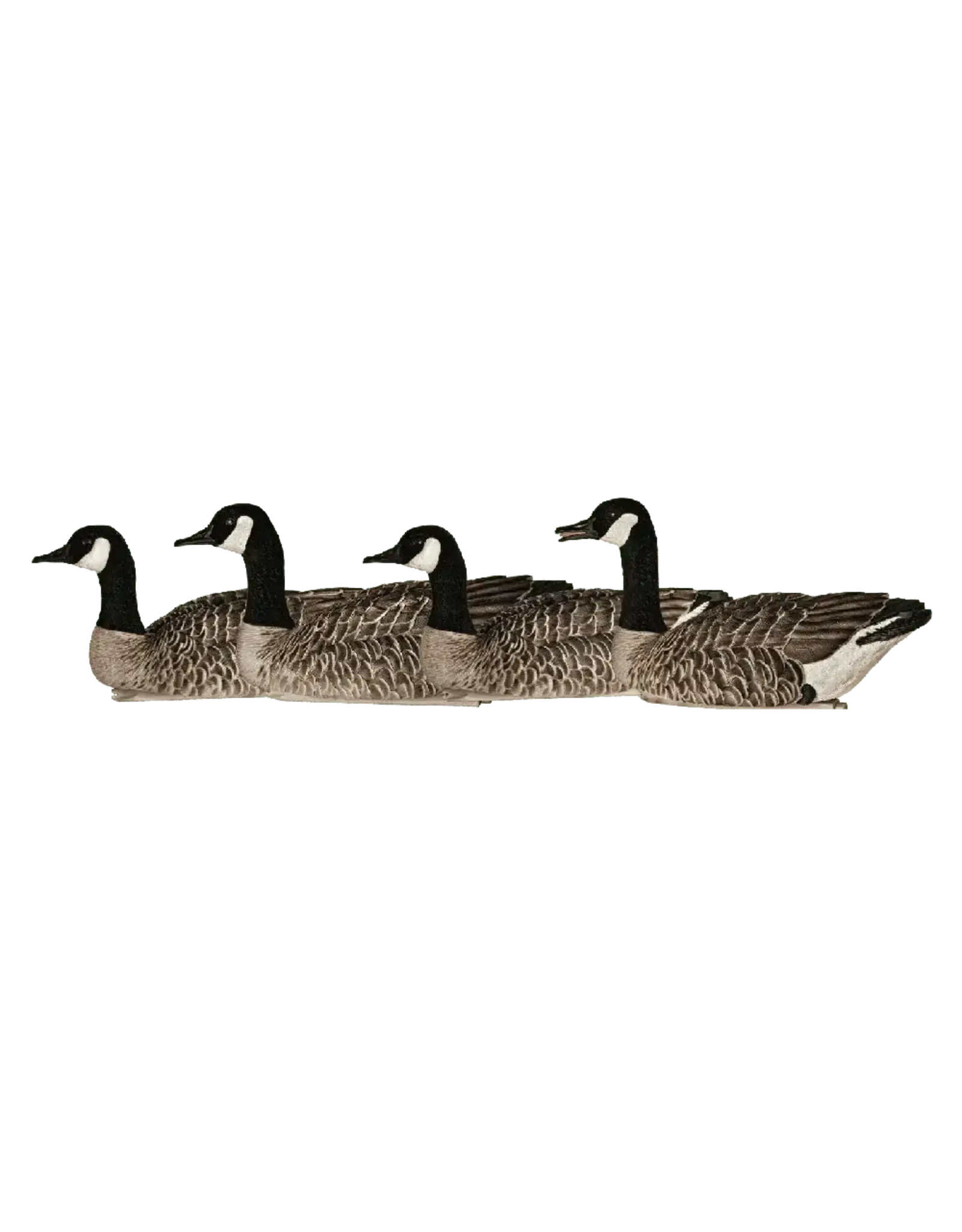 Avian-X Avian X TopFlight Honkers - 4 Goose Decoys (2 swimmers/1 caller/1 sentry AVX9040