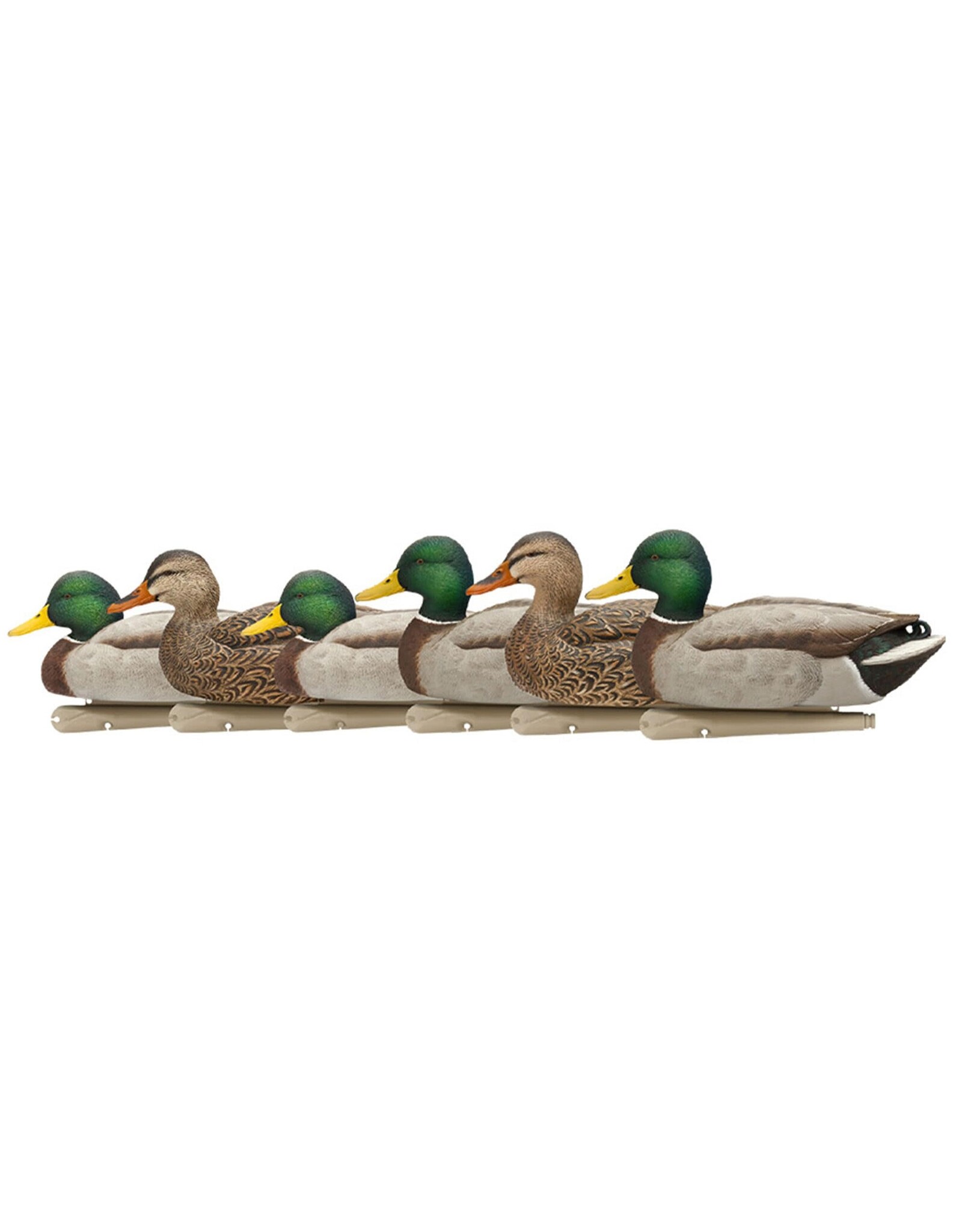 Avian-X Avian X Top Flight Open Water Mallards - 6 Decoys (4 drakes / 2 hens) AVX8060