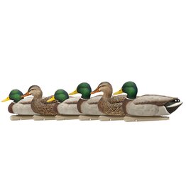 Avian-X Avian X Top Flight Open Water Mallards - 6 Decoys (4 drakes / 2 hens) AVX8060