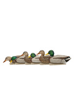 Avian-X Avian X Top Flight Mallards Fusion Series - 6 Decoys (3 Drakes / 3 Hens) AVX8076