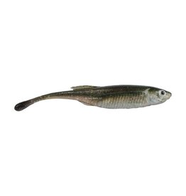 Berkley Berkley PBDM3-HDSTS PowerBait Drip Minnow, 3 in, HD Spottail Shiner
